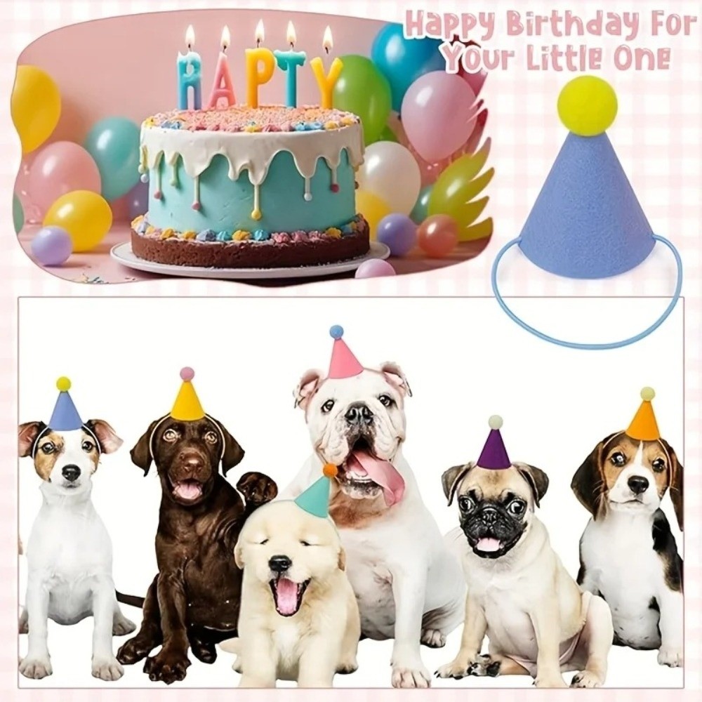 New 6pcs Set Mini Party Hats L - Party Hat Cone 评论和价格