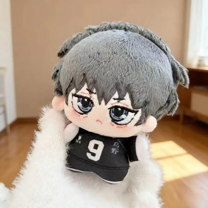 Cartoon Anime Haikyuu Shoyo Hi - Supply Event 评论和价格
