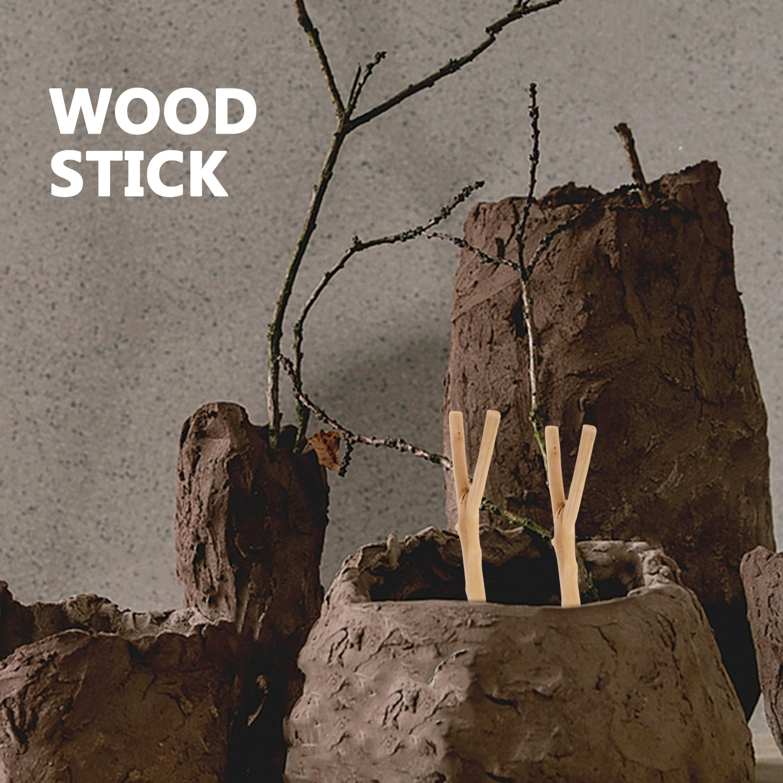 Handpolished Driftwood Branche - Centerpiece Stick 评论和价格